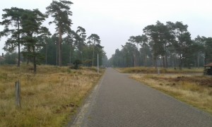 Mooie wegen op de Veluwe